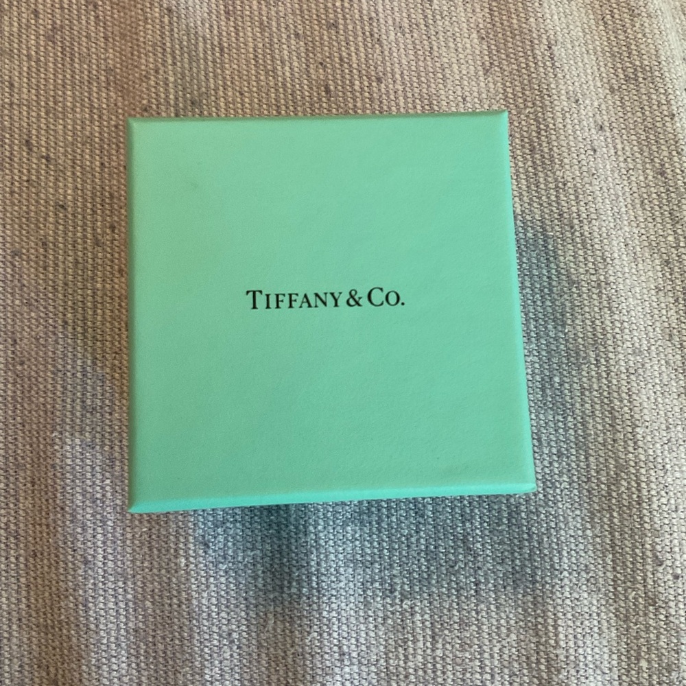 Tiffany & Co. Turquoise Gift Box